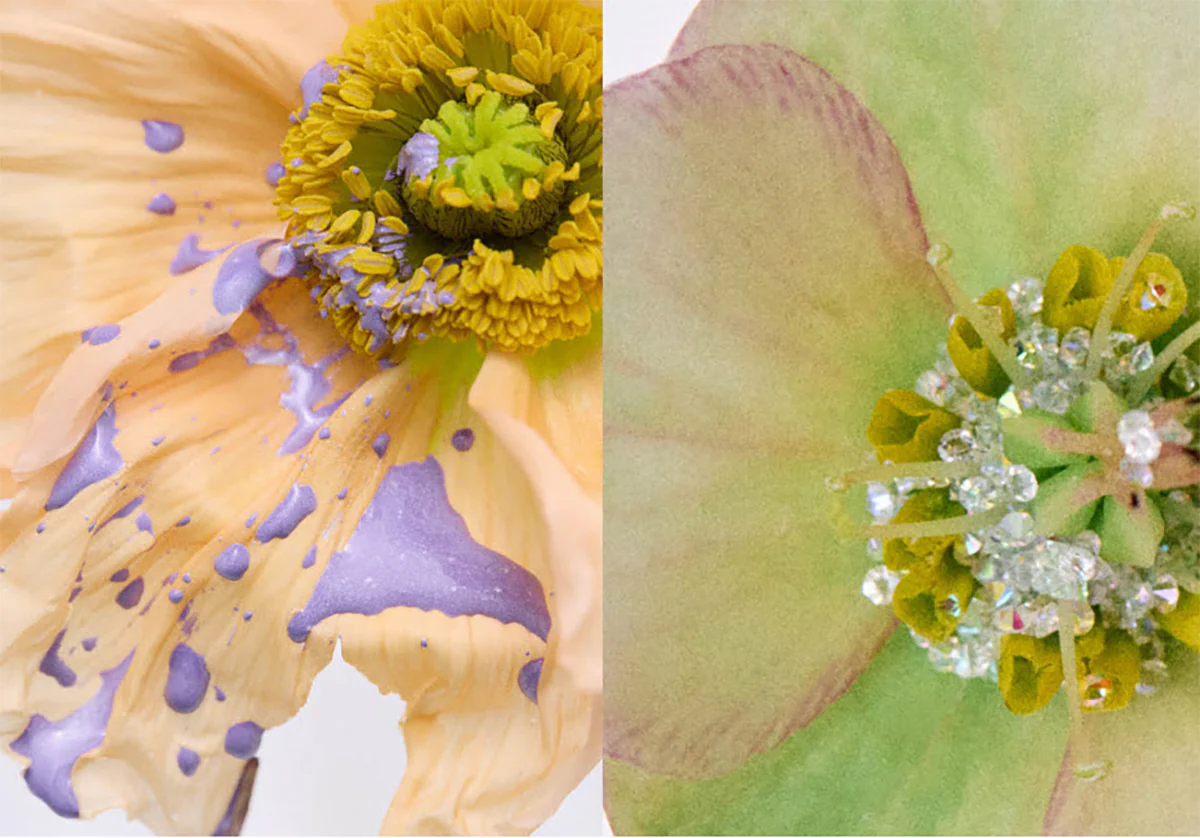 Flower Glyph - Image 3