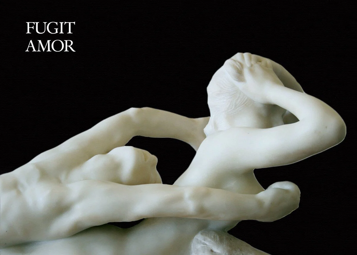 Fugit Amor - Image 2