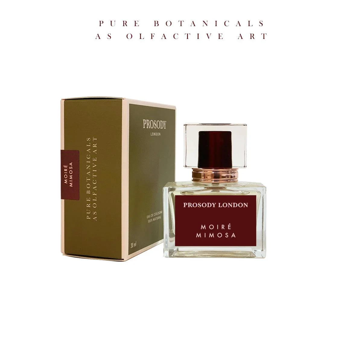 Moire Mimosa - Image 2