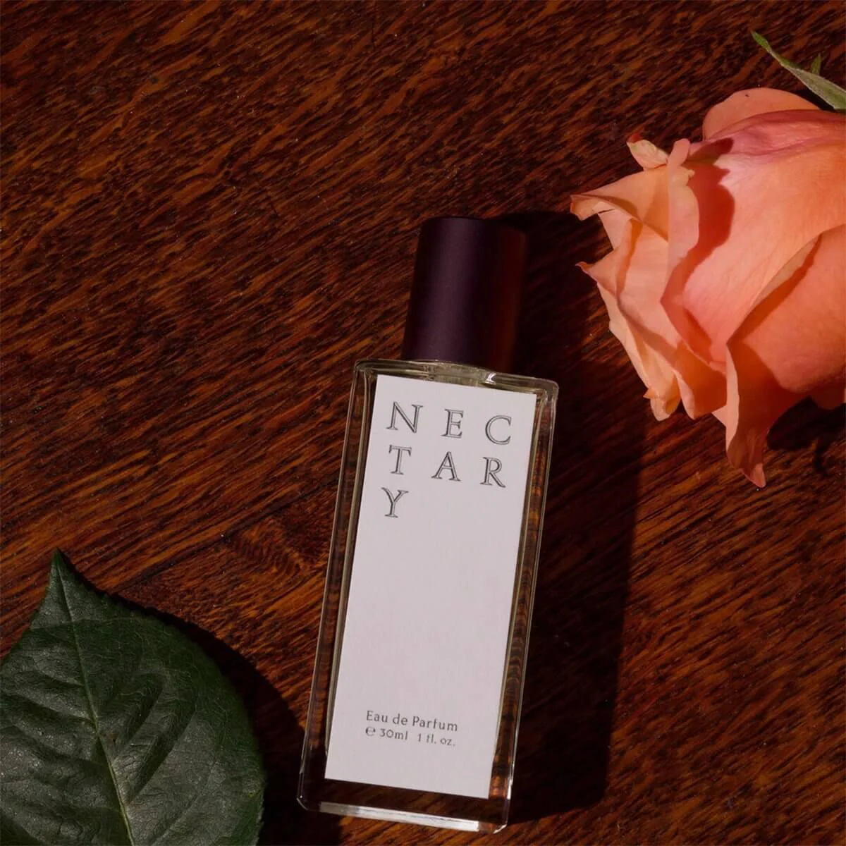 Nectary by Jorum Studio - Image 2