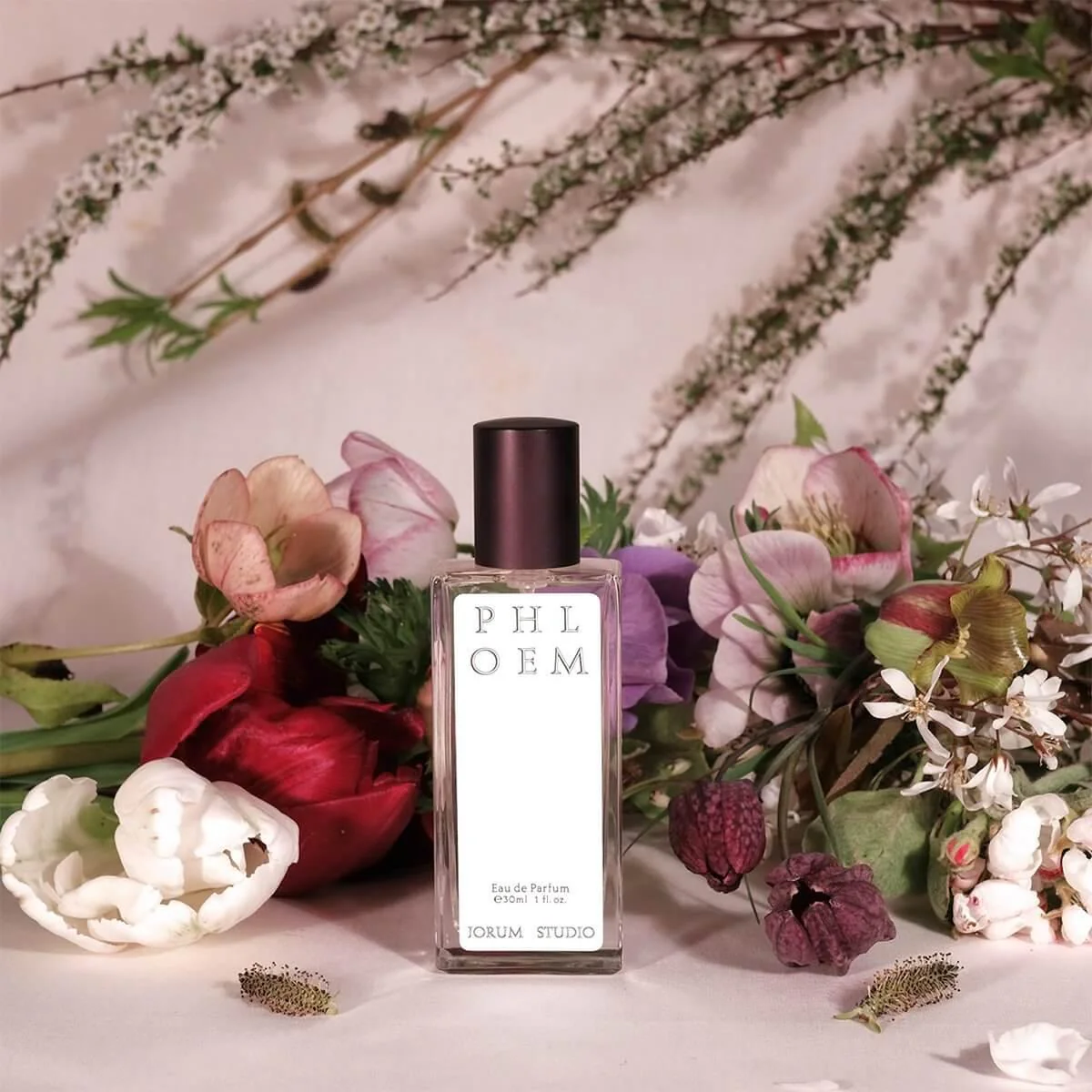 Phloem by Jorum Studio