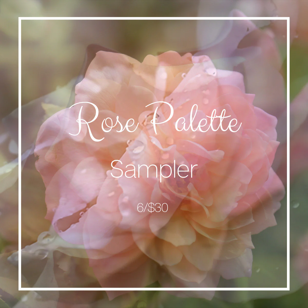 Rose Palette Sampler at Indigo