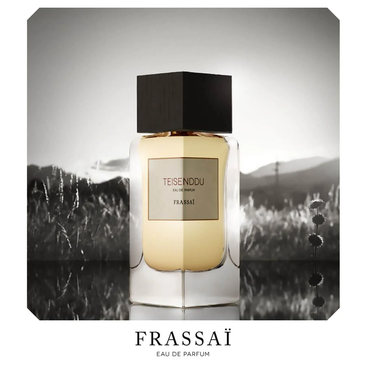 Teisenddu by Frassai